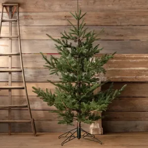 7.5' Noble Fir Tree With Lights