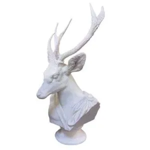 Animal Bust #3 Noble