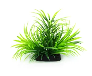 AQ Plant Volcanic Bloom 10cm