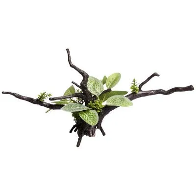 Aqua One Ecoscape Driftwood Green Ignotous