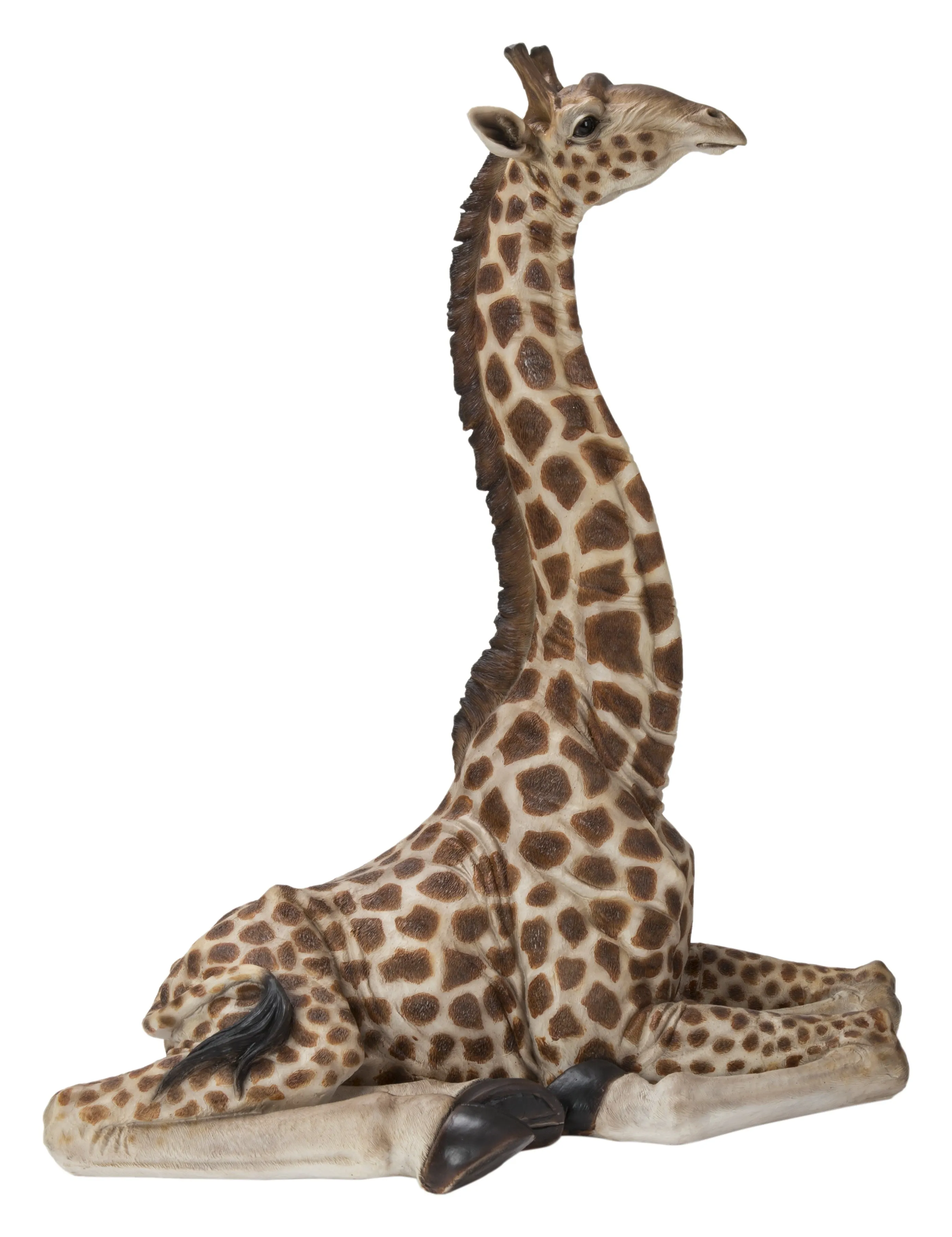 Baby Giraffe Lying