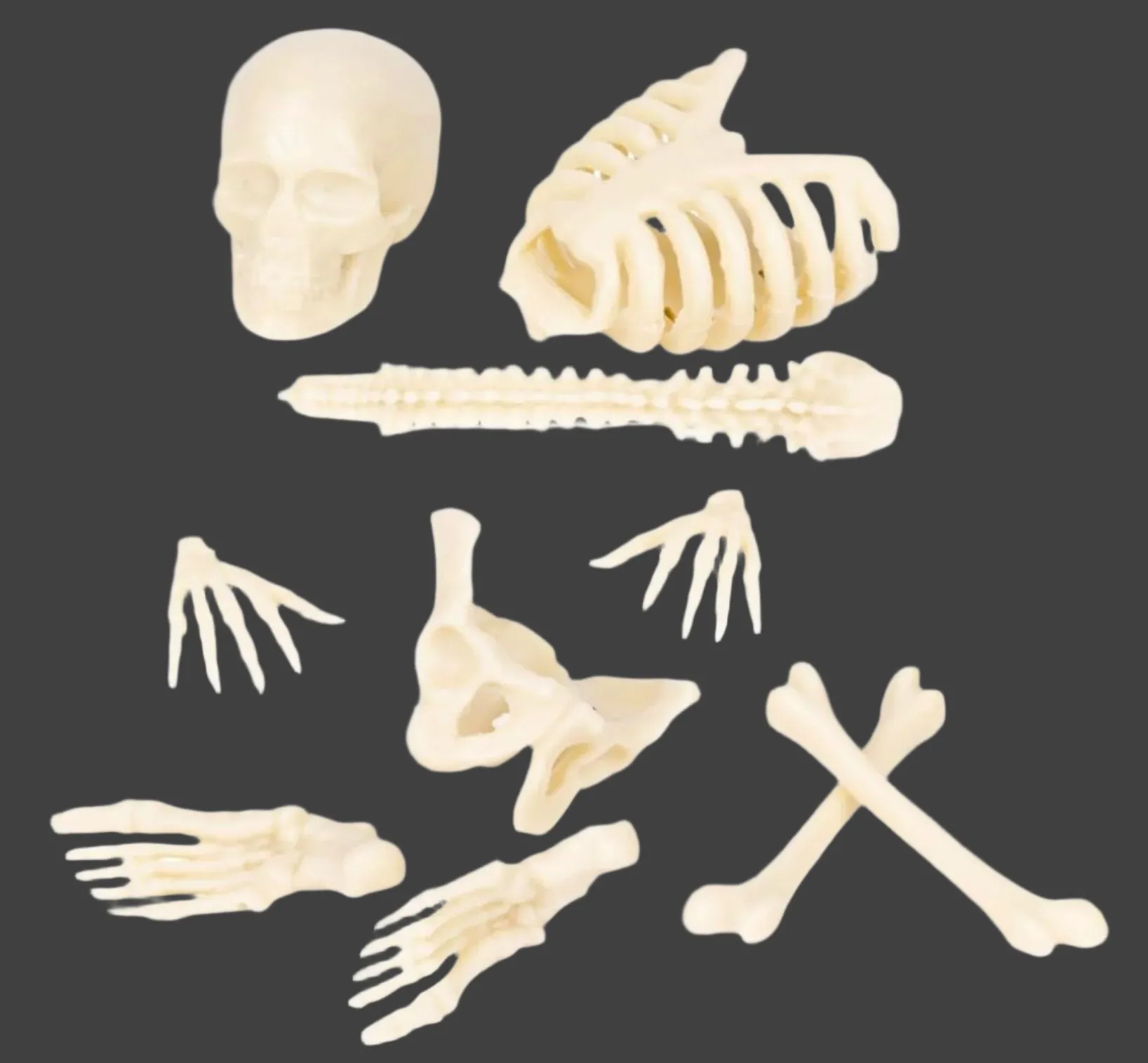 Bag of Itty Bitty Glow in the Dark Bones