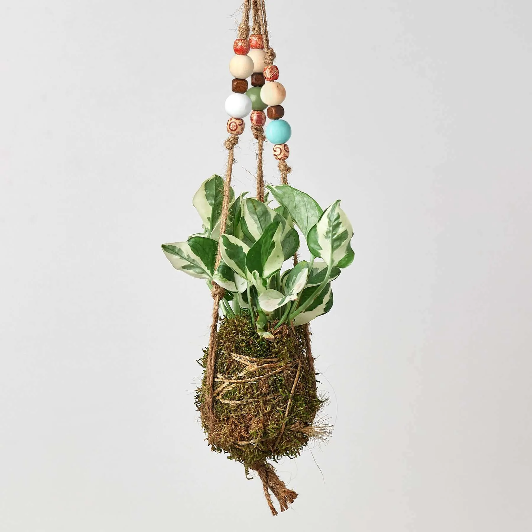 Bead Kokedama Moss Ball Hanging Plant