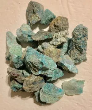 Bulk Genuine Turquoise rough nuggets - 1/4 pound - 15  pieces