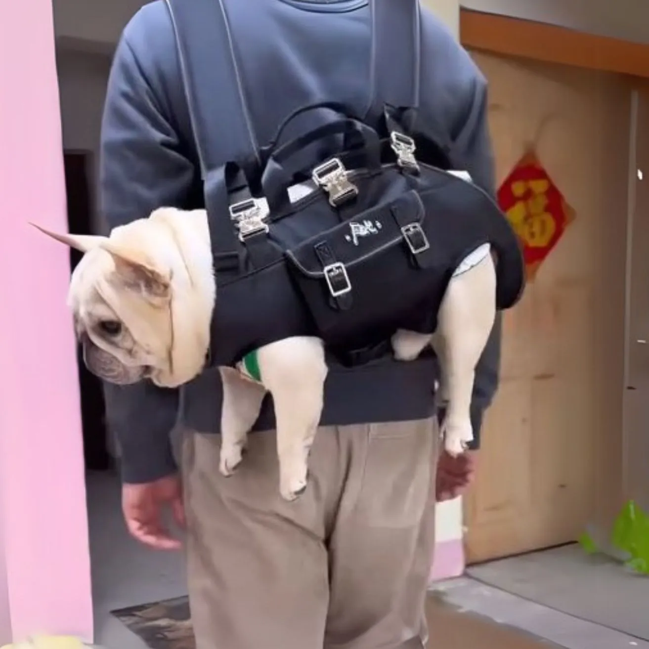 CarryPaw Frenchie Side Carry Backpack – Portable Lightweight and Secure Pet Carrier Bag