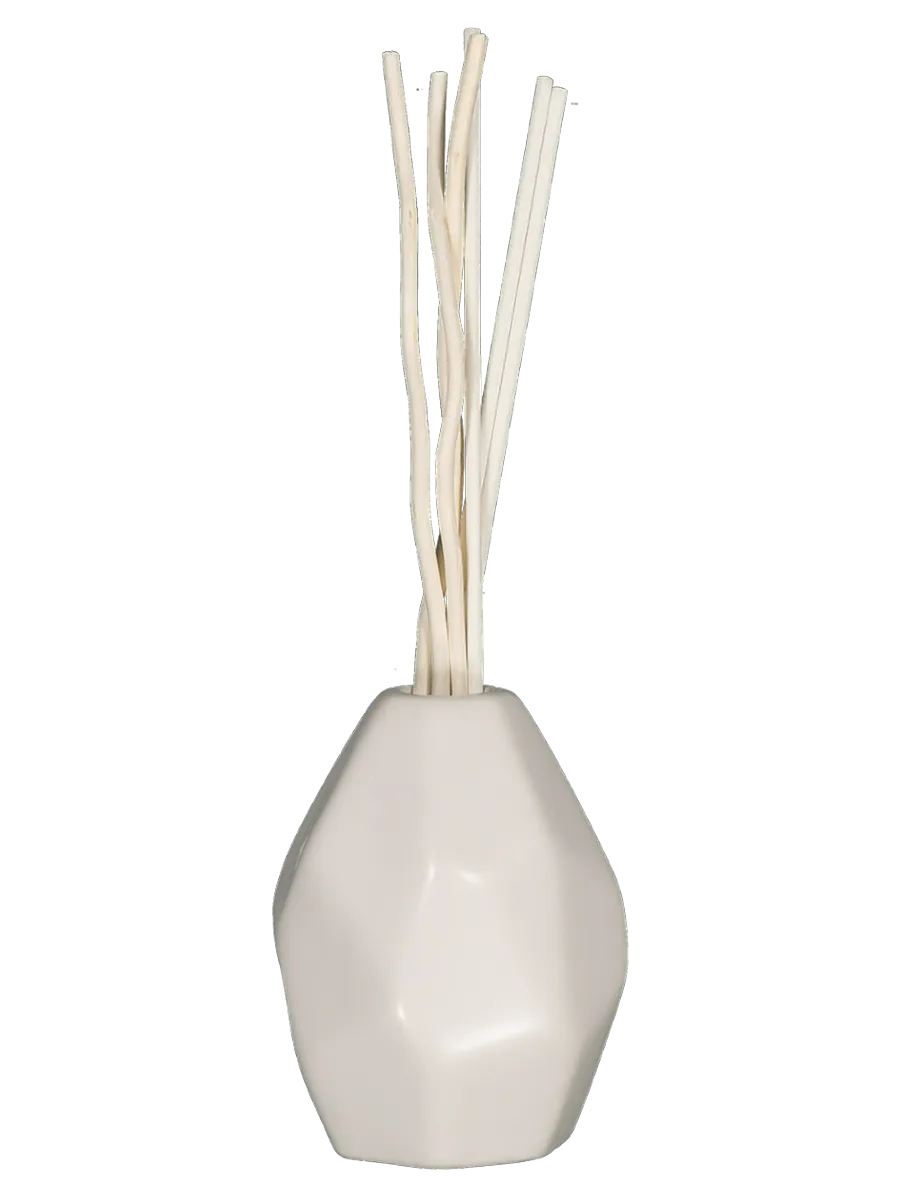 Diffuser In Ornamental Pot