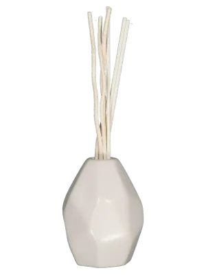 Diffuser In Ornamental Pot