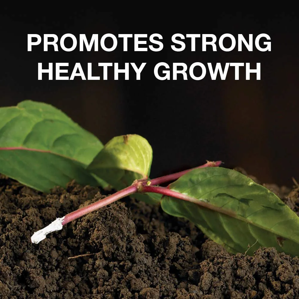 Doff Natural Rooting Powder 75g