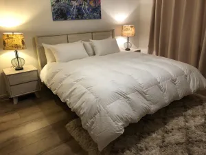 Double Bed Size Quilt Baffle Boxed 95% White Polish Mother Goose Down 1 Blanket Warmth 900 Fill Power German Batiste TE270