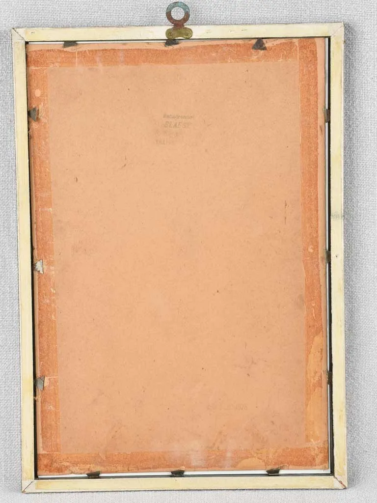 Early 20th century botanic art - aubepine 12½" x 8¼"
