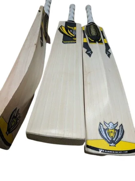 Hammer Junior Core Cricket Bat