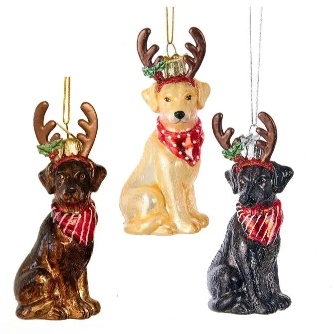 Kurt Adler Yellow Labrador with Antlers Glass Ornament
