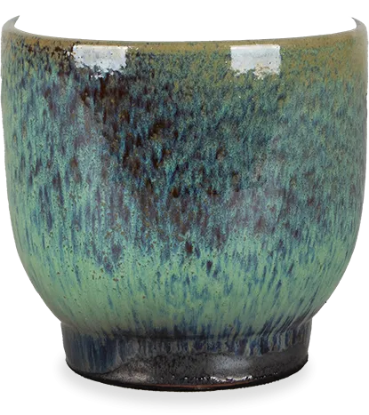 Linn (15cm)