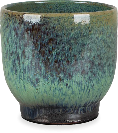 Linn (15cm)