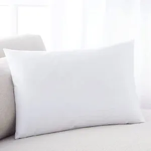 LUXURIOUS BREAKFAST PILLOW FILL