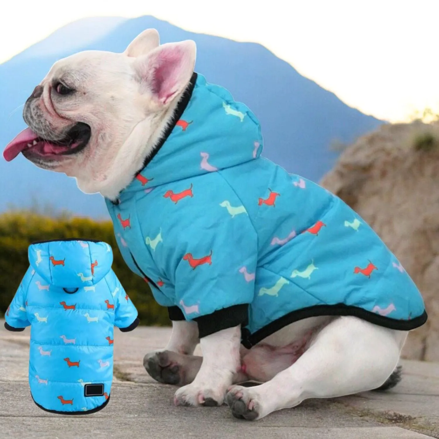 Luxurious Hooded Frenchie Coat