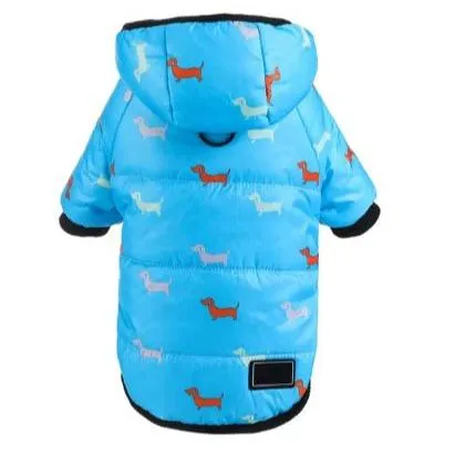 Luxurious Hooded Frenchie Coat