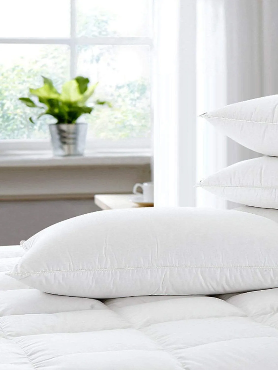 Luxurious Premium Microfibre Pillow - 16"x24"