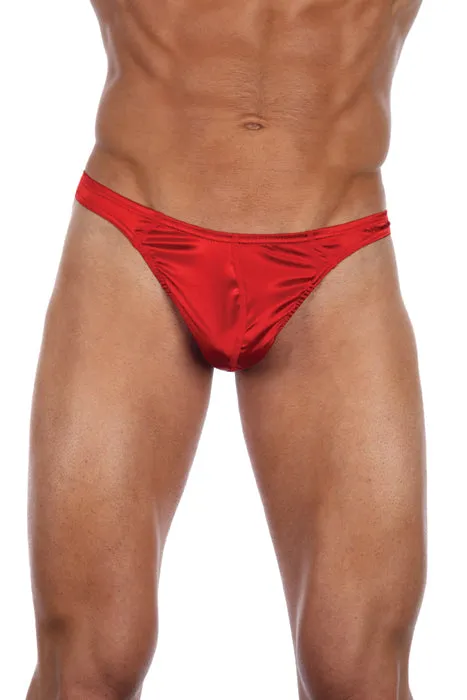Luxurious Silk Spandex Thong by Gregg
