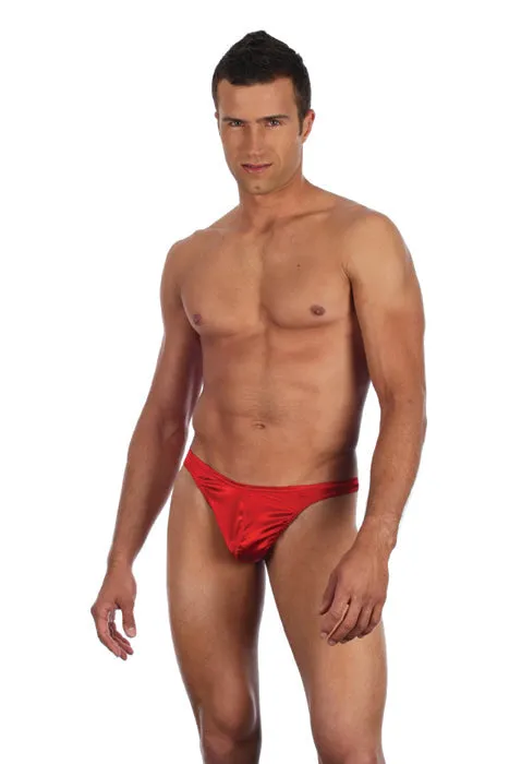 Luxurious Silk Spandex Thong by Gregg