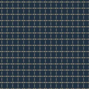 Nouveau - R651065D-Navy - Diamond Stripe