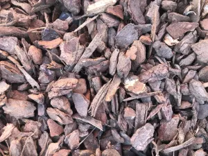 Ornamental Bark