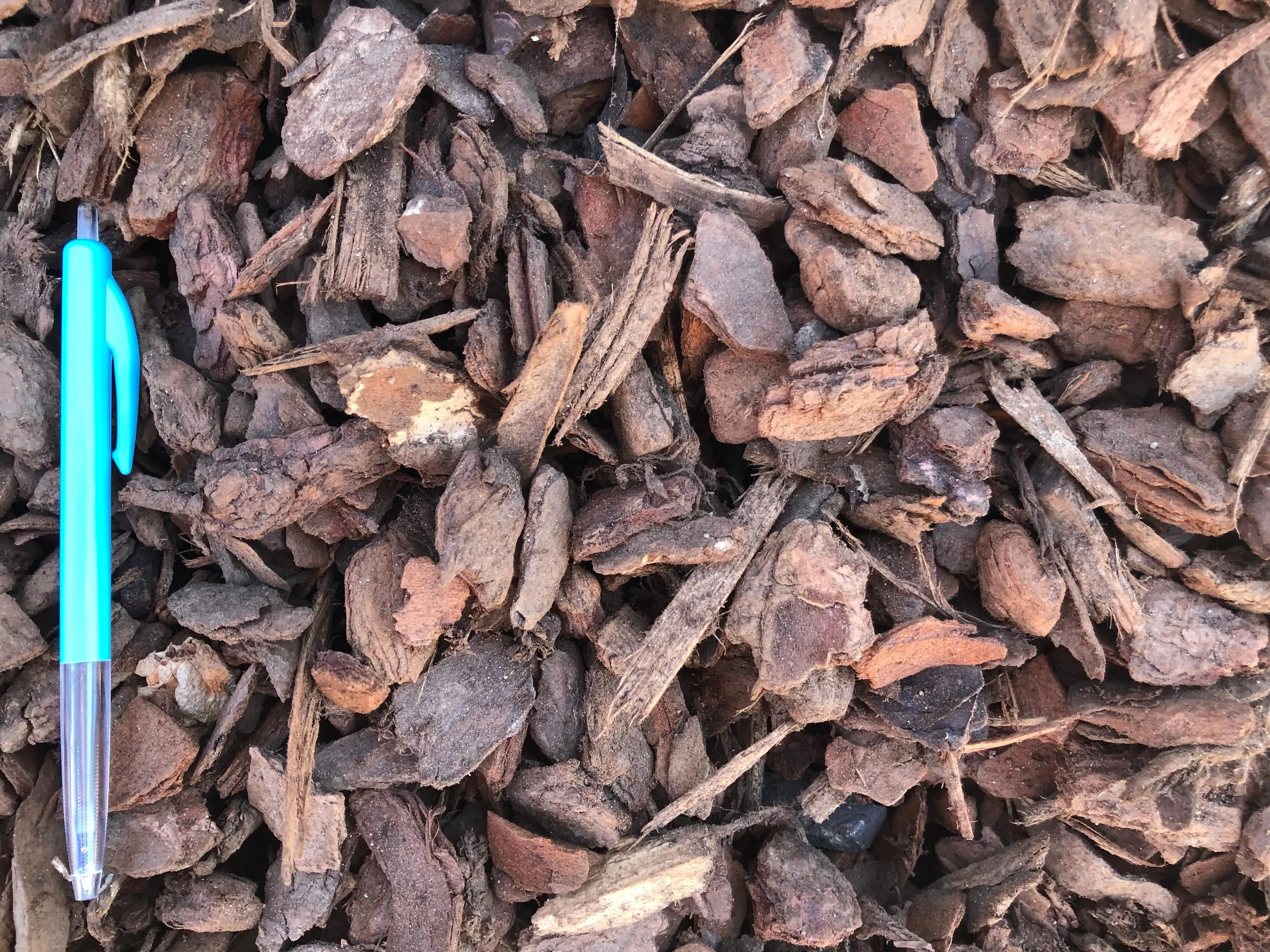 Ornamental Bark