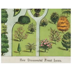 Ornamental Trees (p 60)