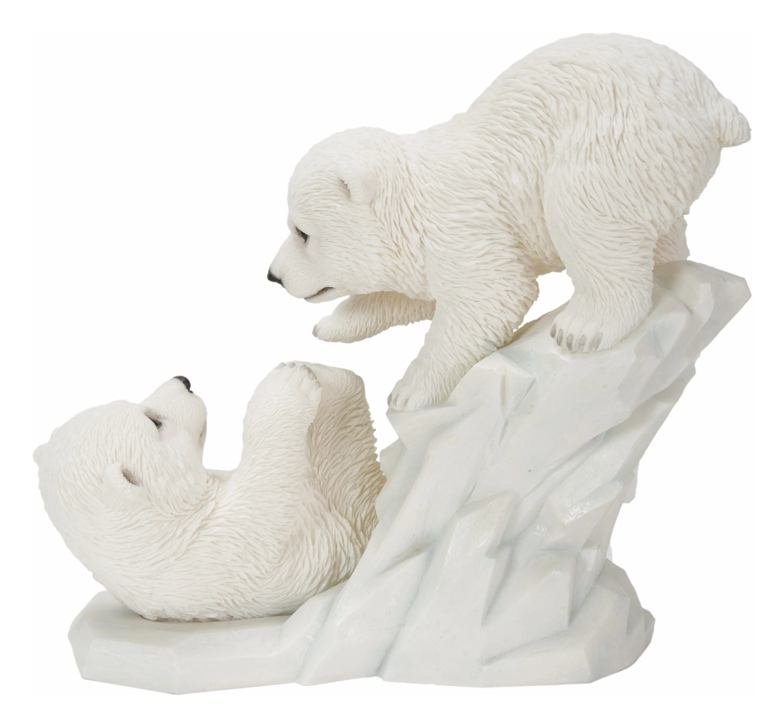 Polar Bear Cubs Playing