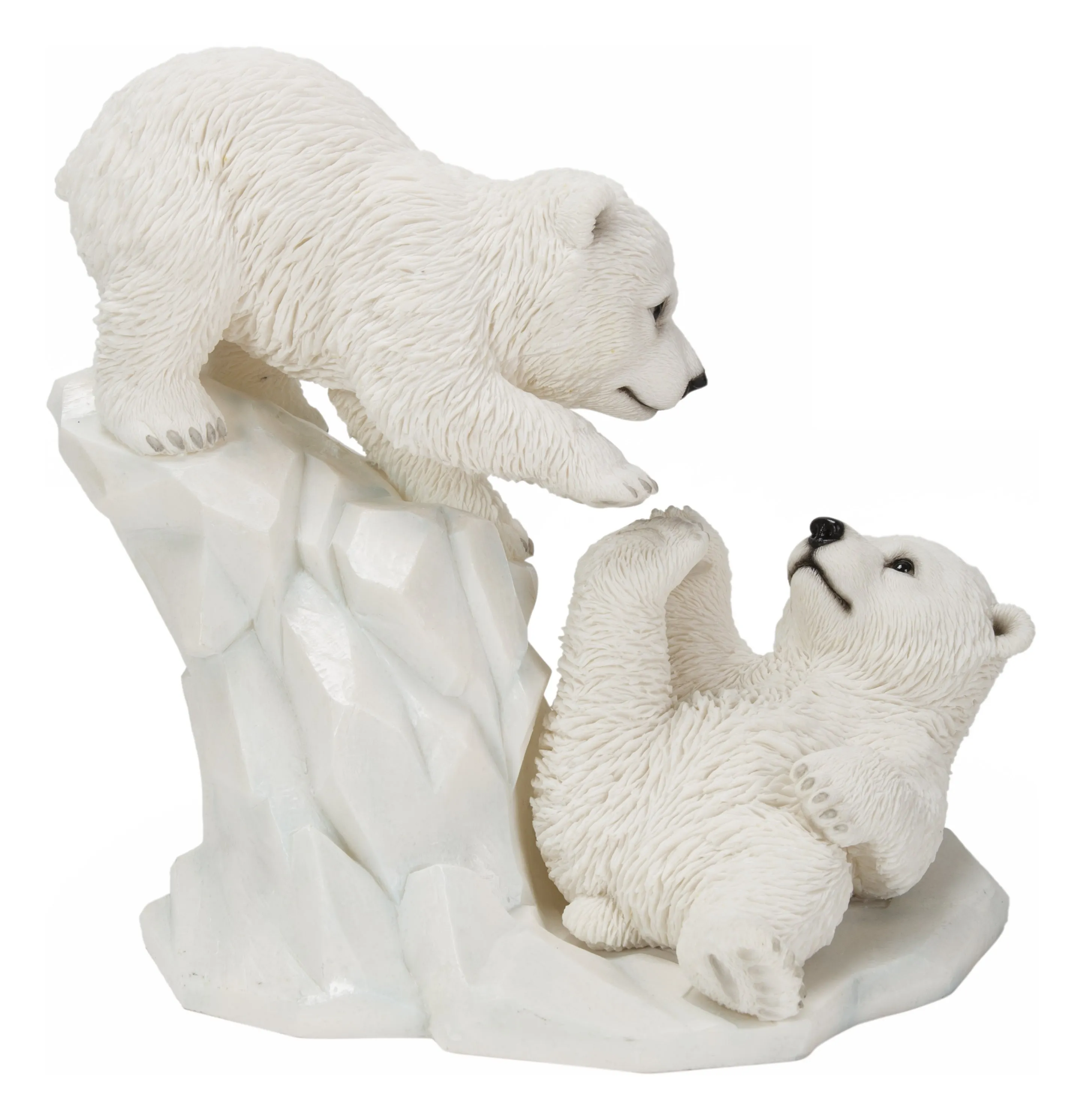 Polar Bear Cubs Playing