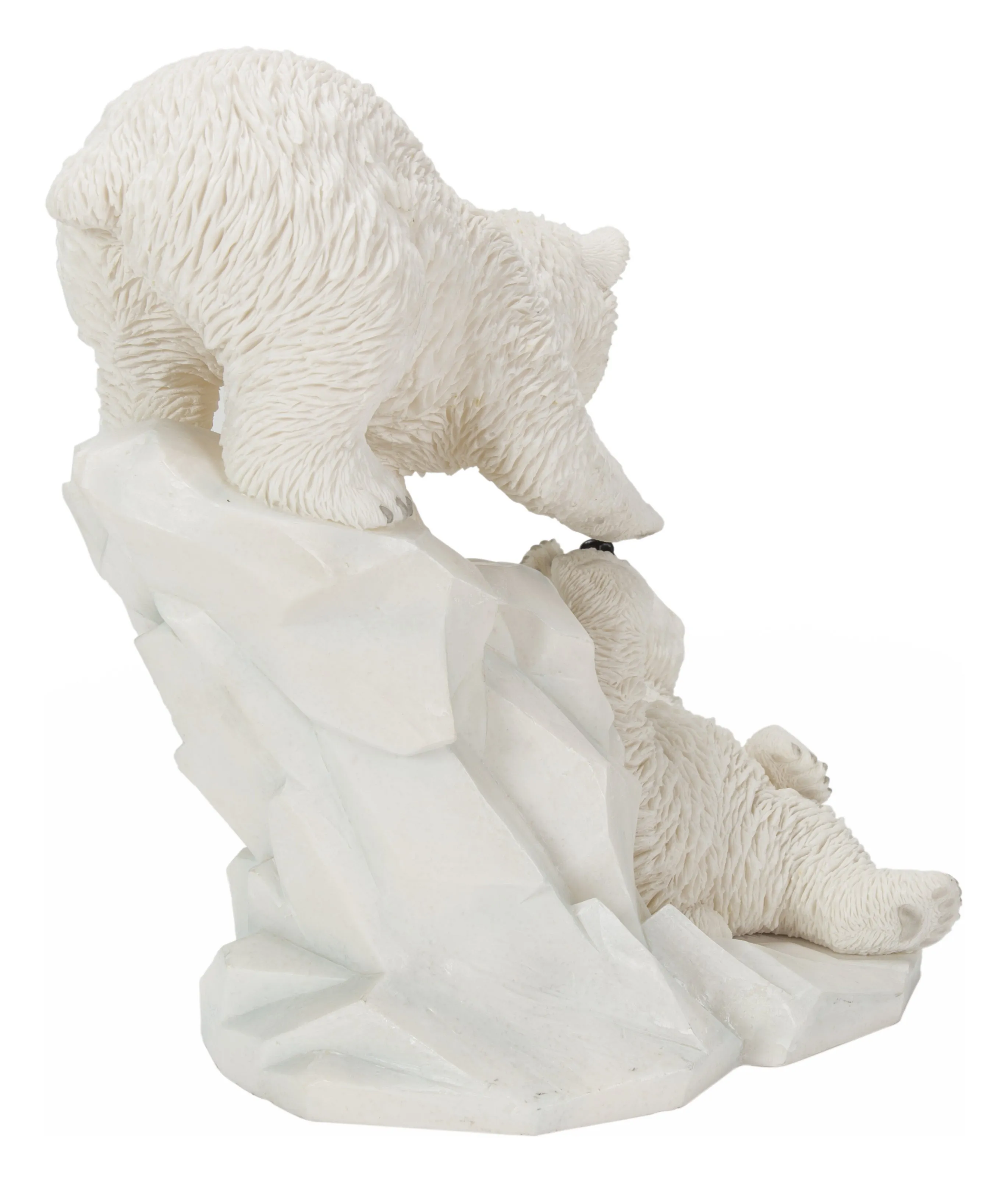 Polar Bear Cubs Playing