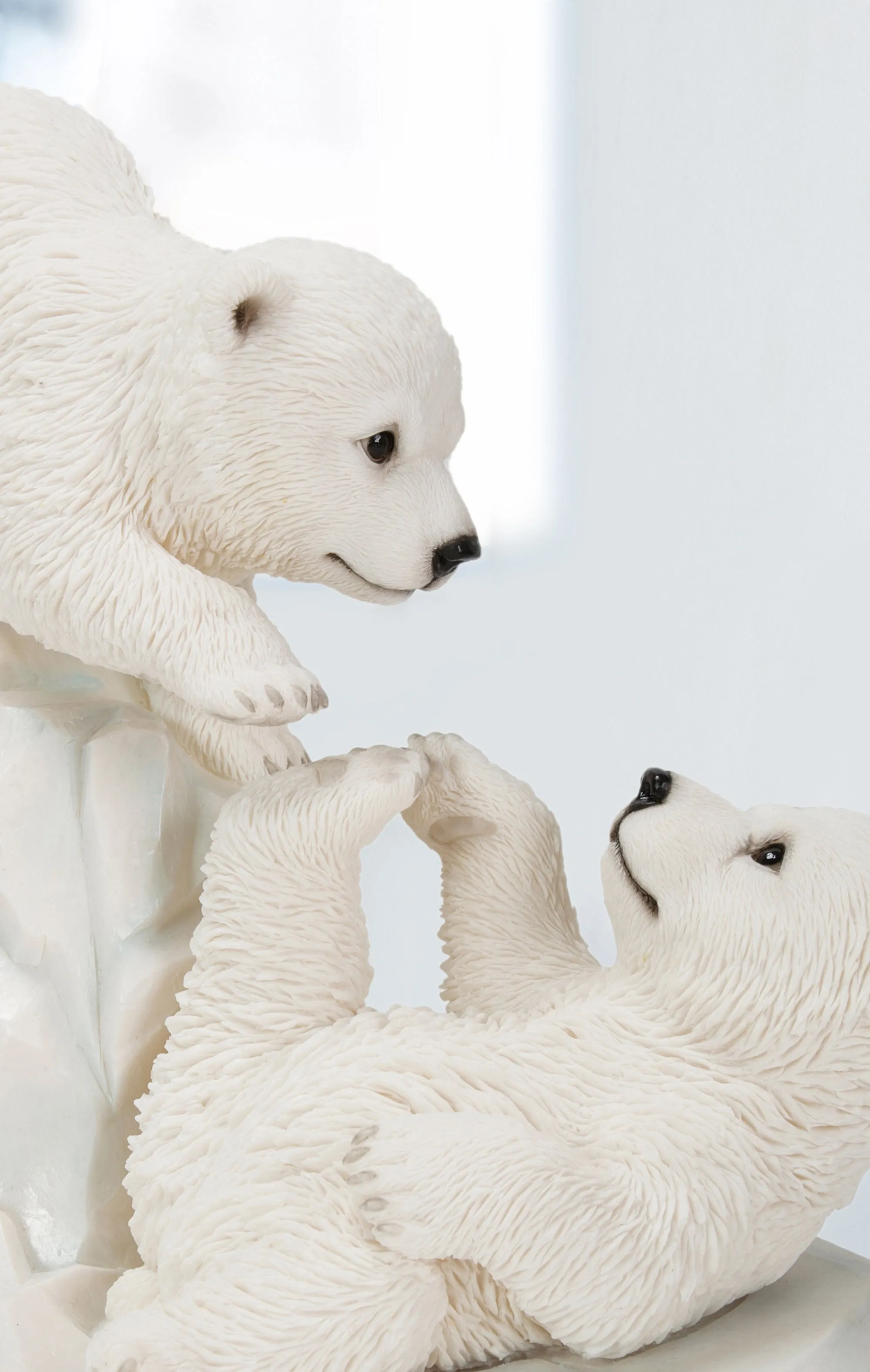Polar Bear Cubs Playing