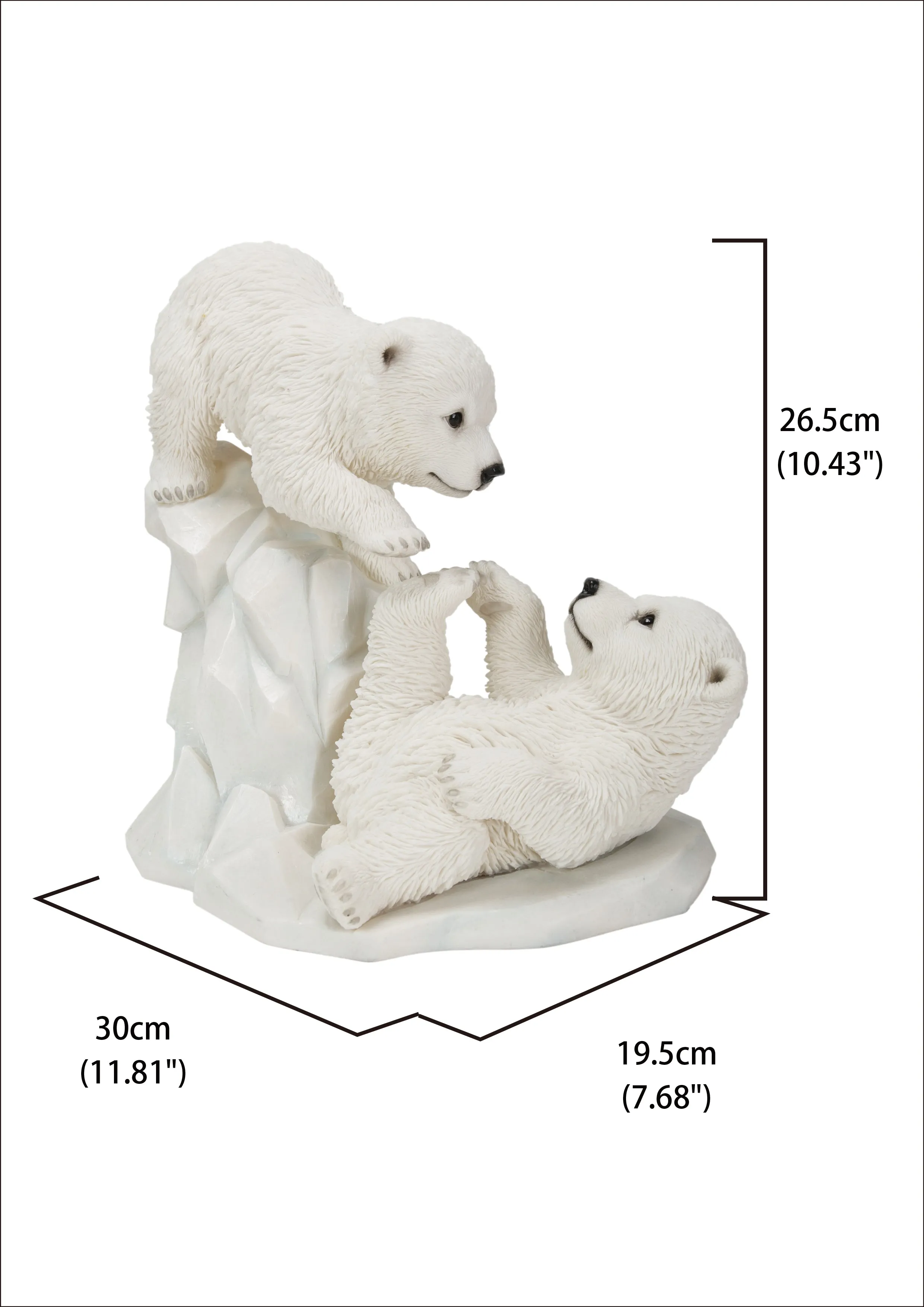 Polar Bear Cubs Playing