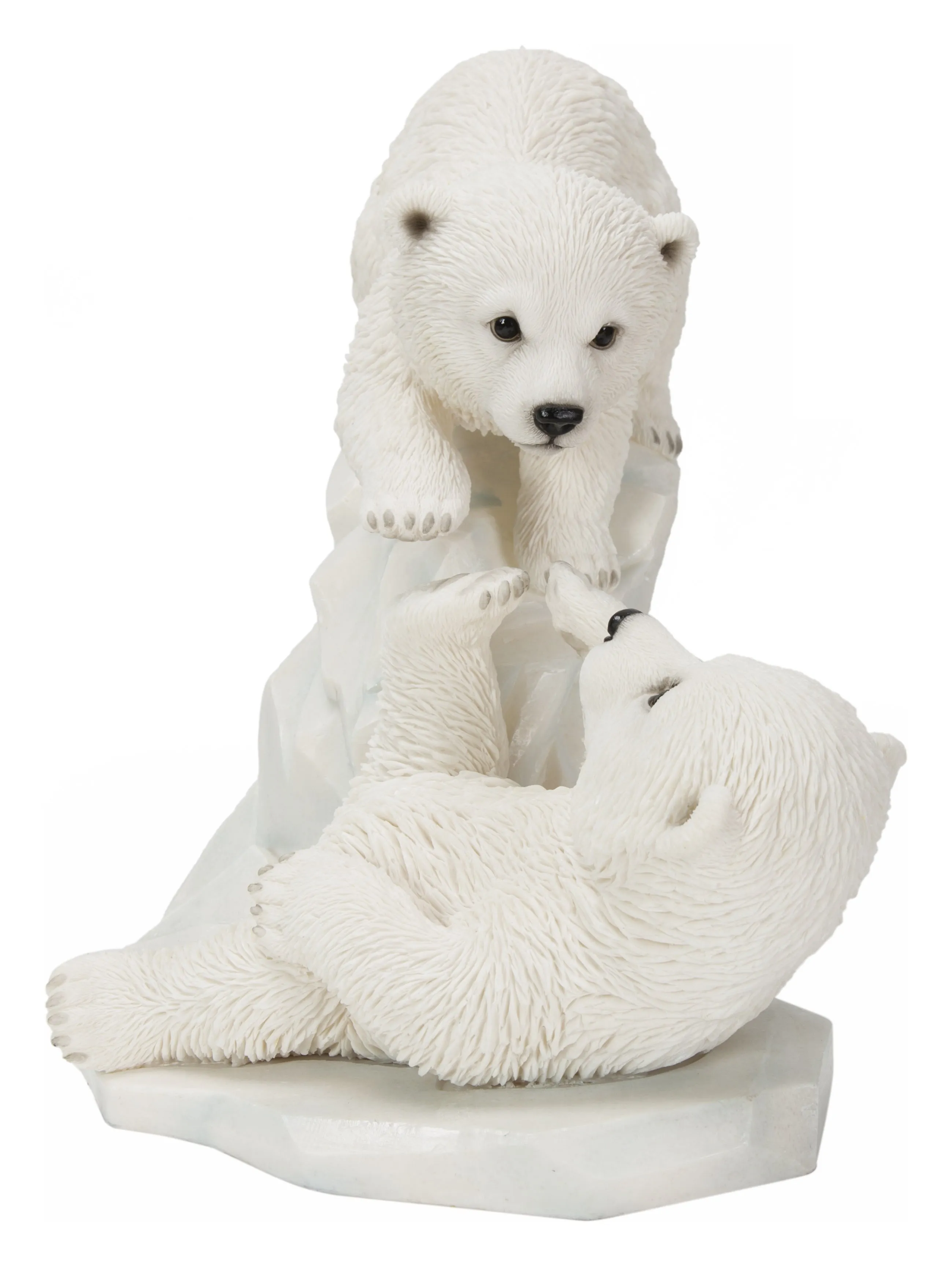 Polar Bear Cubs Playing