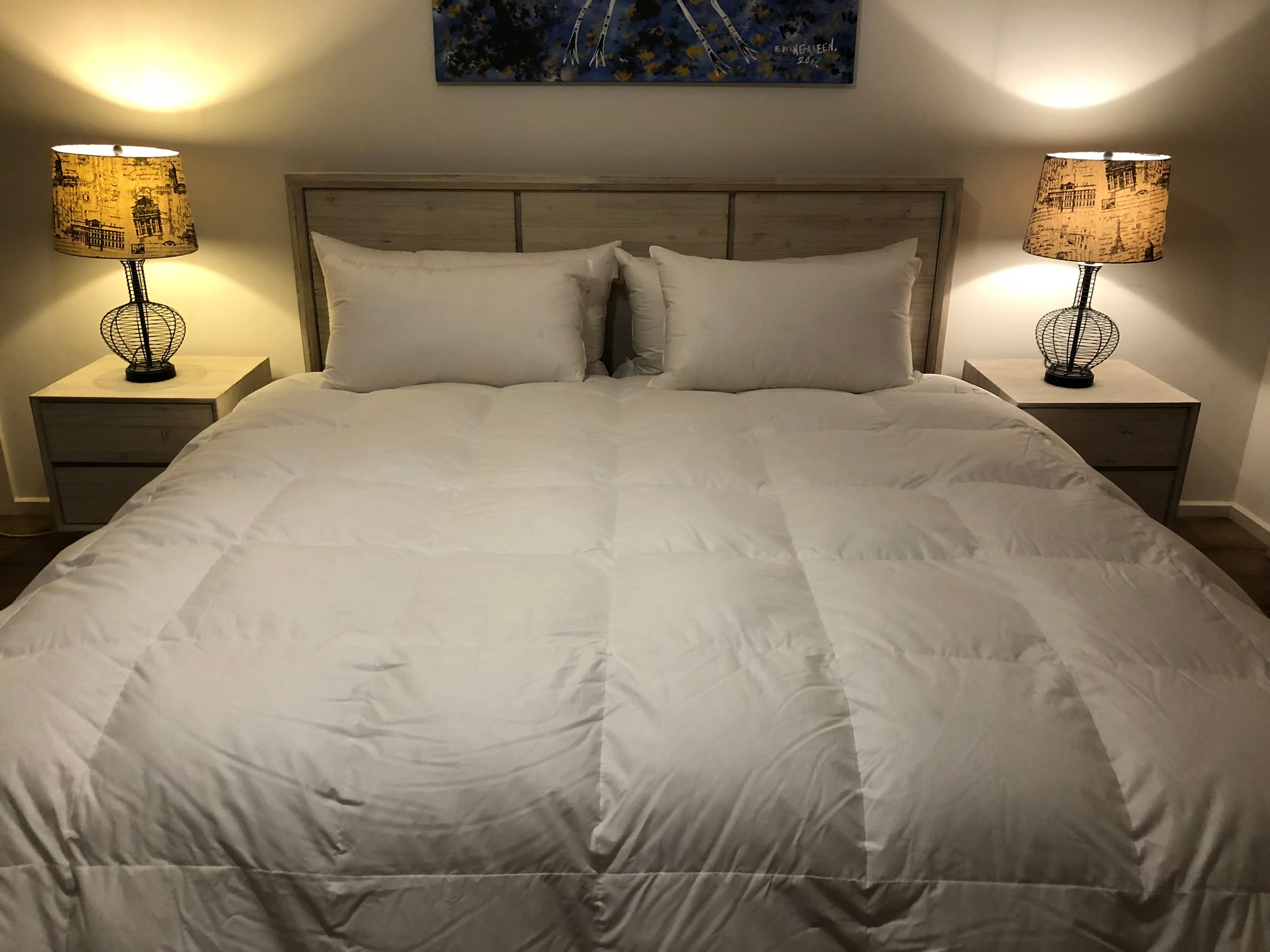 Queen Size Quilt Baffle Boxed 95% White Polish Mother Goose Down 1 Blanket Warmth 900 Fill Power