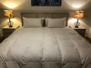 Queen Size Quilt Baffle Boxed 95% White Polish Mother Goose Down 1 Blanket Warmth 900 Fill Power