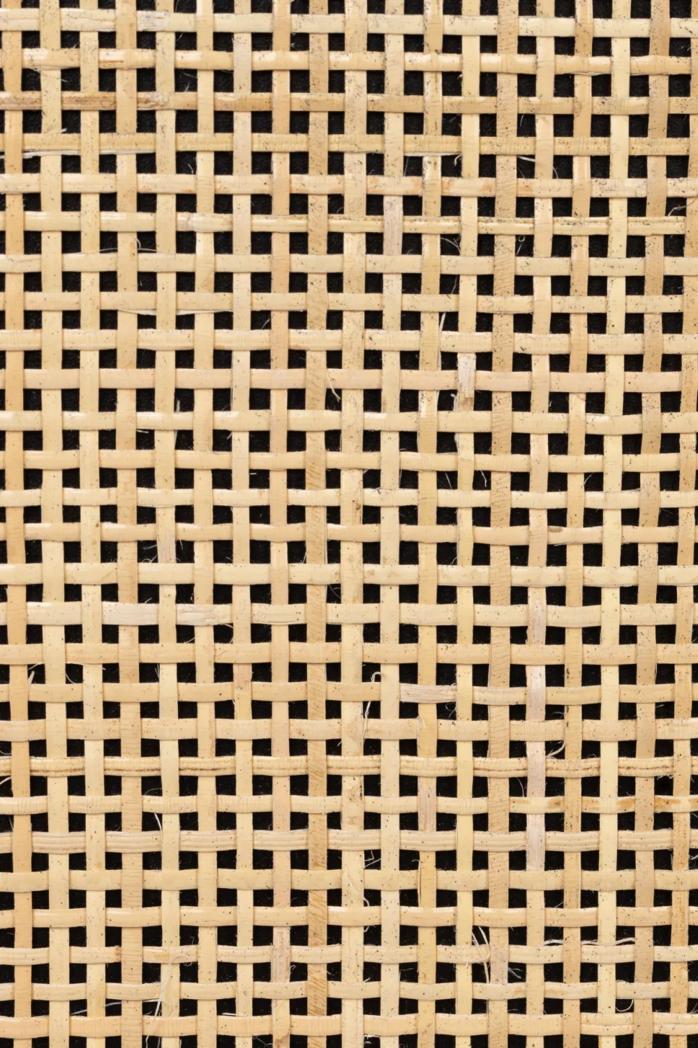 Rattan Webbing Cabinet | DF Guuji