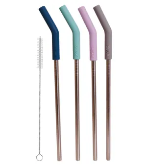 Reusable Stainless Steel Straws