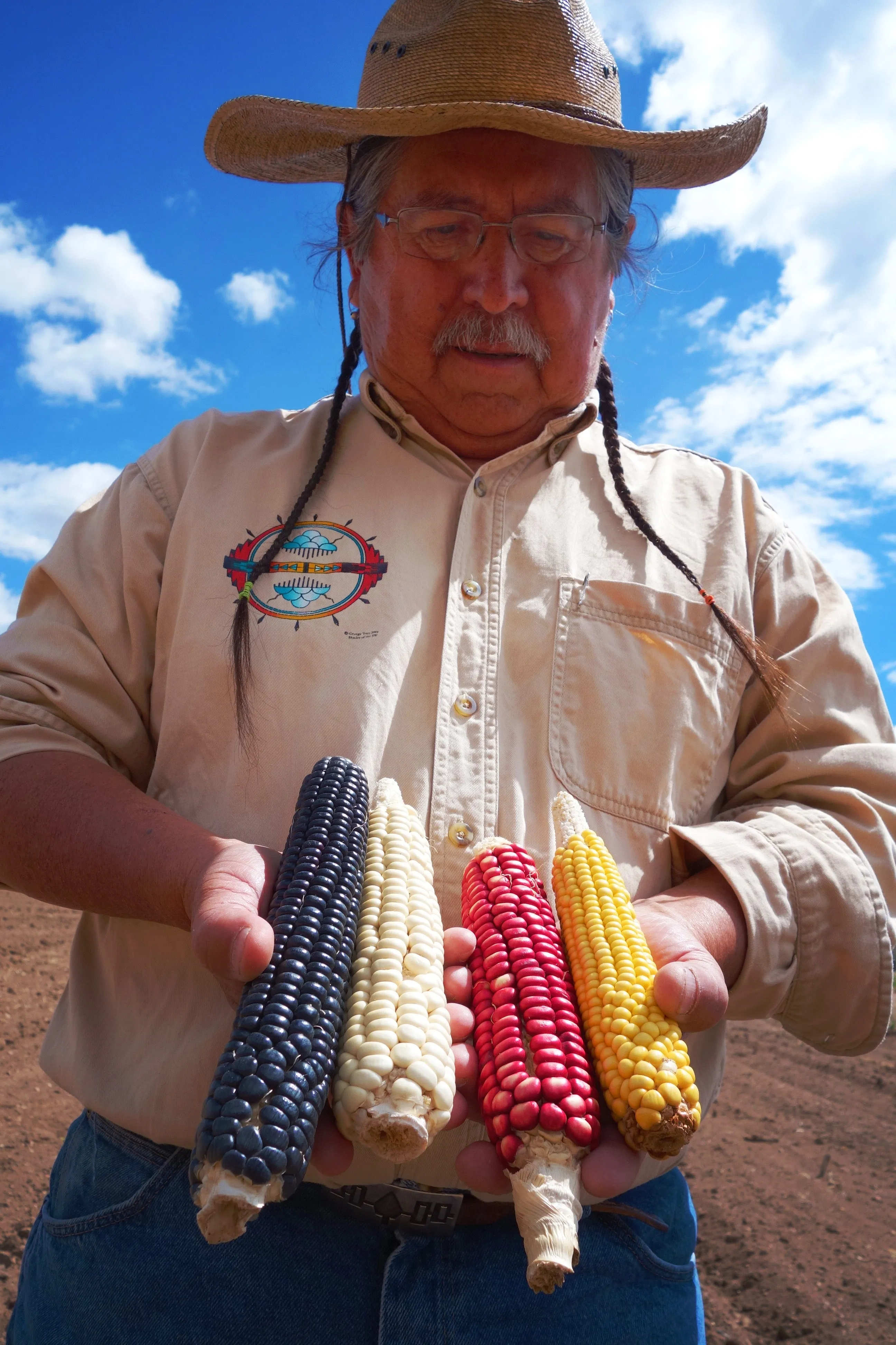 SEED: The Untold Story home-use DVD