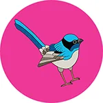 Superb Fairy Wren Bottle Opener Magnet