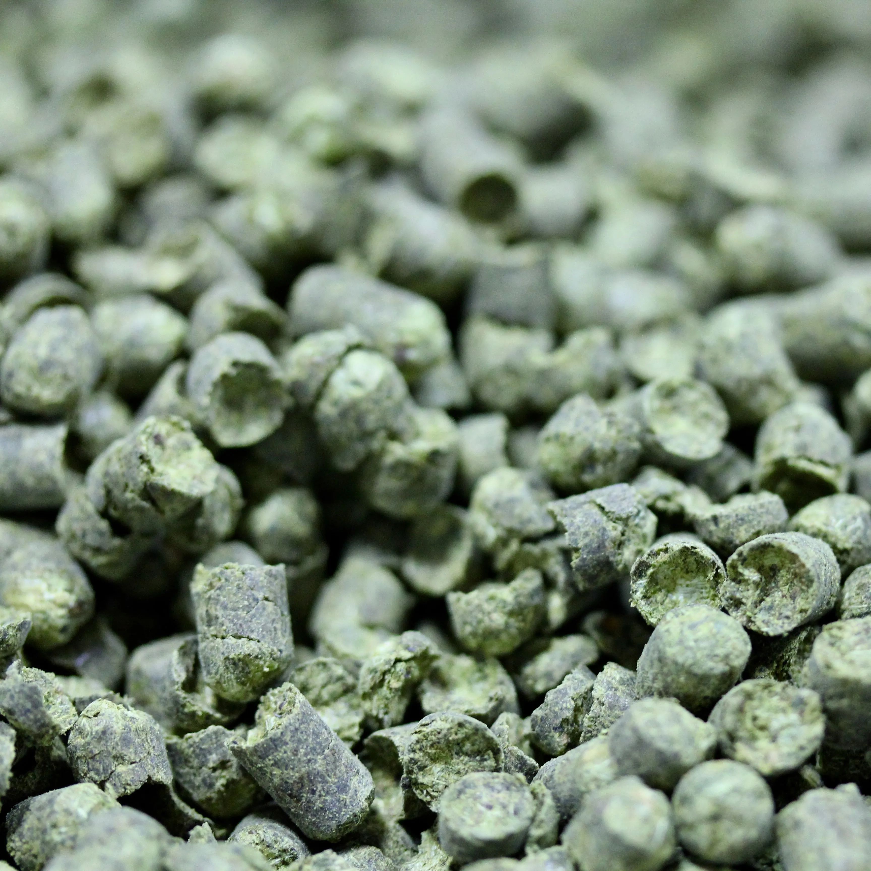 Tettnanger Hops