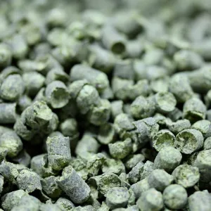 Tettnanger Hops