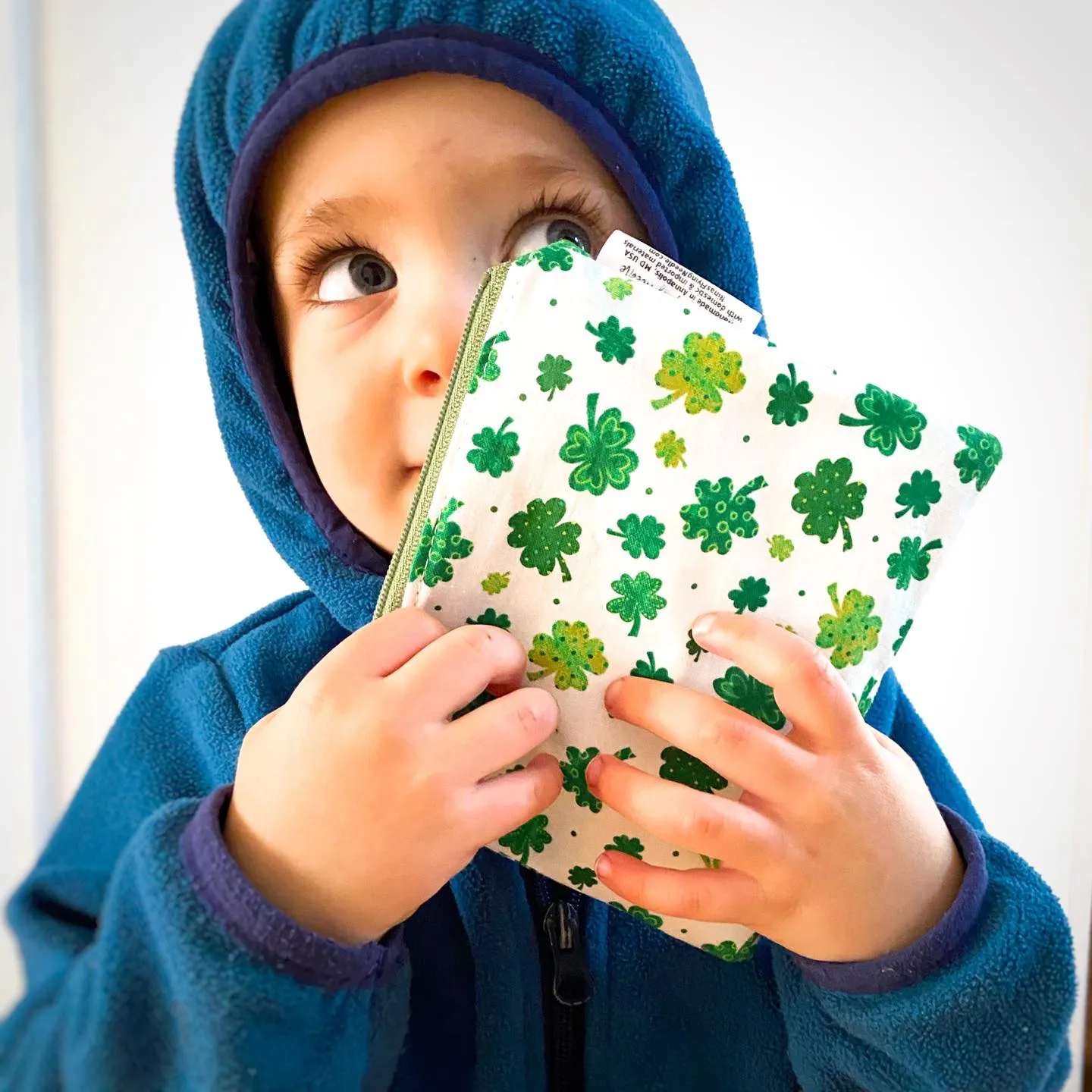 Toddler Sized Reusable Zippered Bag Maryland