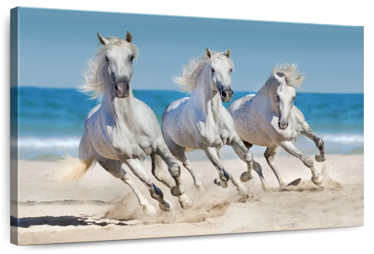Wild Beach Horses Wall Art