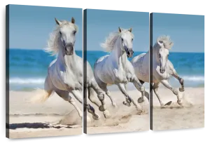 Wild Beach Horses Wall Art
